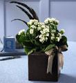 The FTD� Father's Day Planter