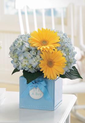 The FTD� Sweet Dreams Boy� Bouquet