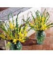The FTD� Gladiola Altar Arrangement