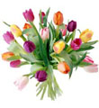20 Stem Mixed Tulip Bouquet